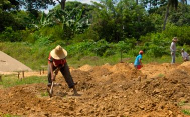 Restitución de Tierras. Internet