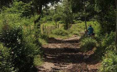 Según las evidencias recopiladas, los nuevos poseedores de estos terrenos avaluados en $2.400 millones, habrían sido dueños de los mismos entre 1991 y 1995. Colprensa