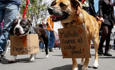 La solicitud se hizo a través del memorando 026 de 14 de diciembre del presente año. Colprensa