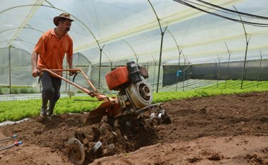 Tres proyectos para impulsar la producción agrícola de Norte de Santander están a la espera de ser aprobados, la inversión asciende a más de $2.000 millones. Archivo La Opinión