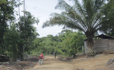 Vereda Caño Indio Archivo