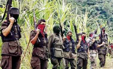 Representantes del Ejército de Liberación Nacional (Eln) informaron que estarán en Quito (Ecuador) en la fecha prevista, ocasión cuando las dos delegaciones deberán adoptar decisiones en torno a la apertura de una mesa de concertación. AFP