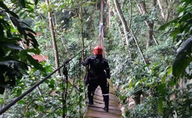 La estructura colapsó al parecer por exceso de peso. Colprensa