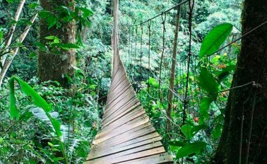 El alcalde Barbosa sostuvo que las construcciones que Manuel Díaz tenía en su predio no son legales y pese a los actos administrativos constantemente desarrollados, seguía conservándolas. Tomada de Twitter