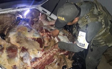 Los agentes detectaron tres camiones 350, marca Ford, cargados de carne. Policía Nacional