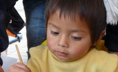 De 1.008 cupos se quitaron 358: 200 en Palmarito y Banco de Arena; 100 en Puerto Lleras y Buena Esperanza, y 58 en El Tunal. Internet