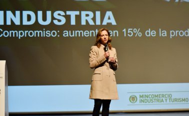 La ministra de Comercio, Industria y Turismo de Colombia, María Claudia Lacouture, explicó que el país ya cumplió con las solicitudes hechas desde la Organización Mundial de Comercio (OMC) y que las medidas que toma el país son para combatir el contrabando, no contra Panamá. Cortesía