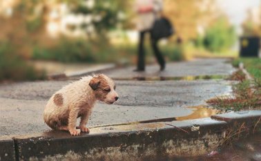 Internet | Referencial