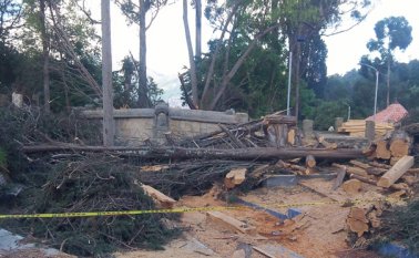Es este estado permanece el Puente Granada. Ramas y desechos cubren parte de la estructura, que quedó afectada luego del corte raso que se hizo a un gigantesco pino. Roberto Ospino