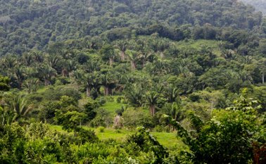 La comunidad tiene dudas en relación con la seguridad debido a que si actualmente hay extorsiones, la situación sería incontrolable con una petrolera. Archivo La Opinión