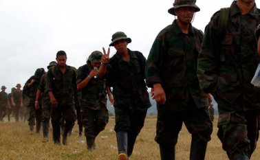 Se sabe también que hay varias mujeres guerrilleras en estado de embarazo que recibirán un tratamiento especial. Colprensa