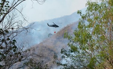 Incendios Forestales. Colprensa