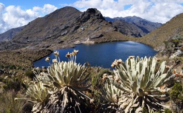 71,48% de los páramos no han sido delimitados, según la auditoría de la Contraloría. Archivo