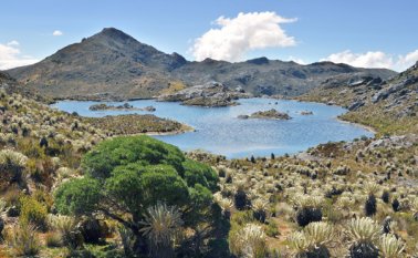 En Cucutilla, Salazar, Arboledas, Mutiscua y Pamplona. Archivo La Opinión
