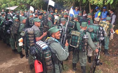 Solo para los delitos que expresamente señala la Ley. La Opinión