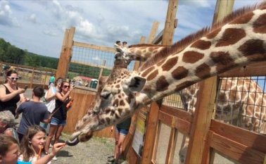 se espera que April dé a luz a su cuarto crío en los próximos días. Tomada de Internet