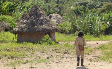 De lejos, La Guajira es el departamento en donde más se pierden dineros de regalías. En el segundo semestre de 2015 hubo un presunto detrimento patrimonial de 19.868 millones de pesos. En ese lapso, fue seguido por Cesar, con pérdidas de 4417 millones, y por Bolívar, con 2053 millones de pesos. Colprensa