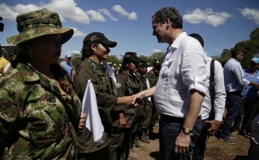 60 guerrilleros tendrán las órdenes de captura suspendidas para que cumplan labores del proceso de paz. Colprensa
