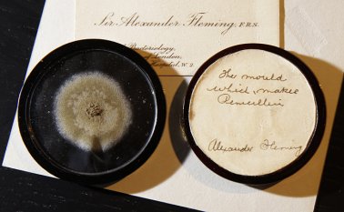 Cápsula con el moho original del que Alexander Fleming hizo por prmera vez penicilina. AP