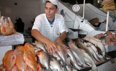 Según datos del Ministerio de Agricultura, al año se producen 8.000 toneladas de pescado incluyendo el camarón. Archivo
