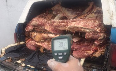 La Policía interceptó una caravana de vehículos en los que eran transportados los 10 mil kilos de carne insalubre. Cortesía
