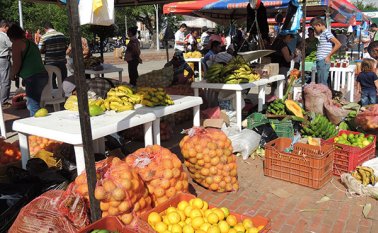 En el Mercado Campesino también participarán 20 microempresas agroindustriales de la región Archivo La Opinión