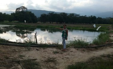 María Victoria Carrero Palencia, presidenta de las juntas de acción comunal del corregimiento, dijo que no se explica por qué un predio del municipio está en manos de un particular y no de la junta de acción comunal, “como se lo hemos solicitado insistentemente a la Alcaldía”. Suministrada