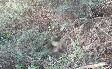 El cadáver tenía las manos amarradas y estaba semidesnudo. Édgar Cusgüen