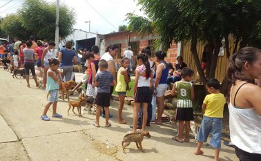 A las mascotas se les asistió con médicos veterinarios en desparasitación, vacunación antirrábica, ingesta de vitaminas, corte de uñas, peluquería, entrega de cintas-collares. Cortesía