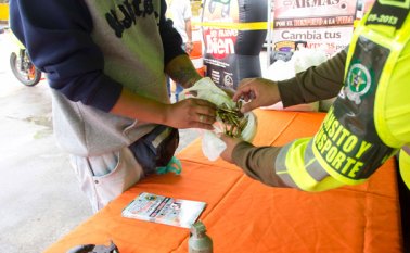 Luis Alfredo Estévez