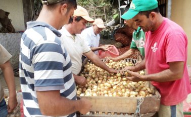 La actividad busca facilitar la salida oferta de productos y alianzas estratégicas para la paz. Archivo