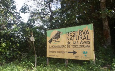 La reserva fue habilitada en 2006, como estrategia para blindar el hogar del ave Hormiguero Pico de Hacha, que tenía más de 40 años de no observarse. Archivo