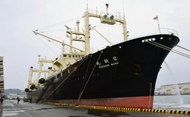 La Agencia de Pesca de Japón informó el viernes que la flota de cinco barcos concluyó su misión de cuatro meses y cazó 333 ballenas. AP