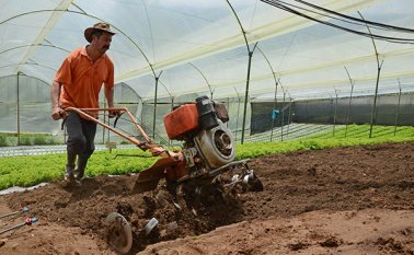 La Gobernación invertirá $2.000 millones en residuos de origen animal y vegetal para mejorar las características químicas del suelo y así aumentar la producción de frutas y hortalizas. Archivo