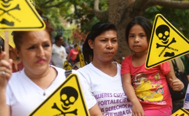 La prohibición incluye las actividades de exploración, extracción, explotación y procesamiento, ya sea a cielo abierto o subterráneo. AFP
