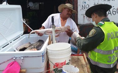 Revisaron que sea apto para el consumo humano. Cortesía