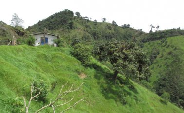 El desarrollo del campo será una de las claves para que se ponga en marcha la esperada iniciativa. Archivo