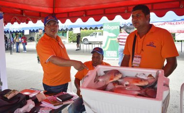 Productores buscan más mercados. Edinsson Figueroa