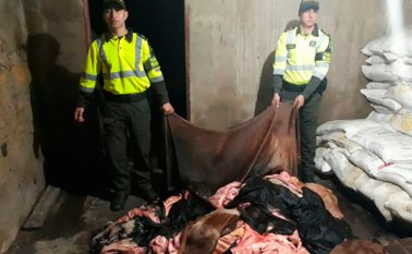 El procedimiento fue practicado por personal de la Seccional de Tránsito y Transporte en un puesto de control, en el kilómetro 11 de la vía Pamplona-Pamplonita. Policía Nacional