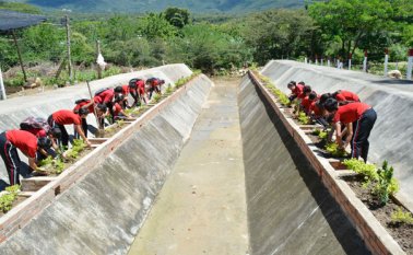 Los estudiantes han empezado por mejorar sus entornos escolares. En jornadas que inluyen a los papás, han embellecido el colegio. Edinsson Figueroa