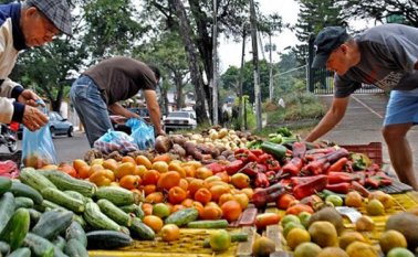 Desde La Grita y otras ciudades andinas salen diariamente unas 14 mil toneladas de frutas y verduras con destino a más de 200 ciudades de Venezuela. Eilyn Cardozo