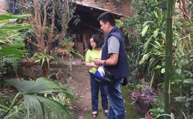 Funcionarios de la uta están recorriendo los barrios de Ocaña donde se tienen focos de caracoles africanos. Javier Sarabia