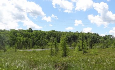 El Gobierno quiere avanzar en formalizar de la tierra con su Decreto - Ley de la AN este está en consulta previa y se espera conocer el proyecto final de Ley. Colprensa