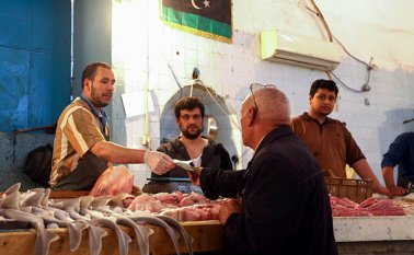 La organización de las naciones unidas para la Alimentación (FAO) invita a los países importadores de tilapia,  a tomar medidas apropiadas y a exigir los certificados sanitarios.  AFP