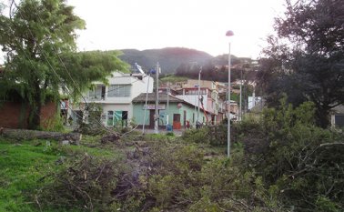 La Plazuela Almeyda fue uno de los sectores más afectados por la caída de árboles que se registró en Pamplona, tras fuertes vientos. Roberto Ospino