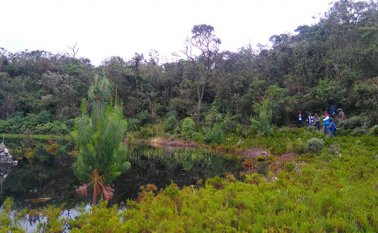 Luego de una visita técnica se determinó que se requiere de un estudio para establecer las afectaciones de la Laguna del Seminarista, que tan solo tiene 30 centímetros de profundidad. Cortesía