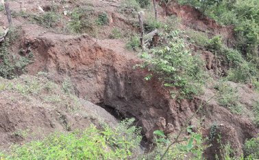 El deterioro de la cobertura vegetal en Santiago preocupa a las autoridades. Cortesía