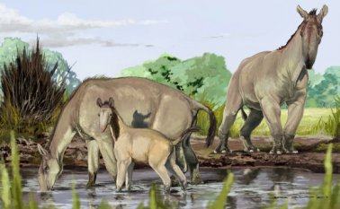 Macrauchenia patachonica. AFP