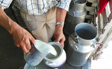 El Servicio Nacional de Inocuidad y Calidad de México decidió frenar las exportaciones de derivados lácteos con Colombia por tener seis plantas procesadoras en Cundinamarca, donde está el segundo foco de fiebre aftosa. Archivo