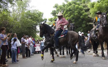 Los caballos no son susceptibles a sufrir la enfermedad sí son portadores pasivos de la misma. Archivo La Opinión